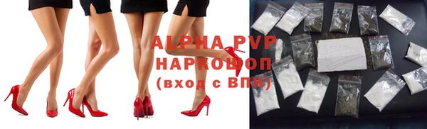 бошки Белокуриха