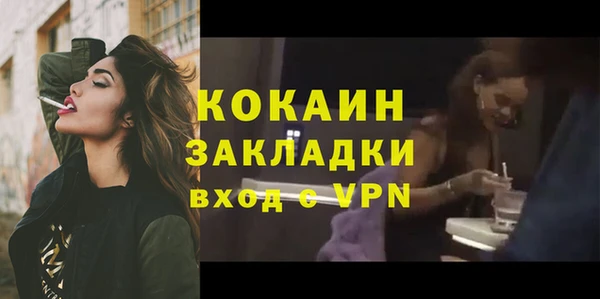 бошки Белокуриха