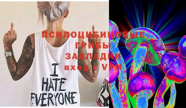 бошки Белокуриха