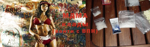 бошки Белокуриха