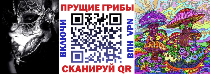 где найти   Вязники  Галлюциногенные грибы ЛСД 