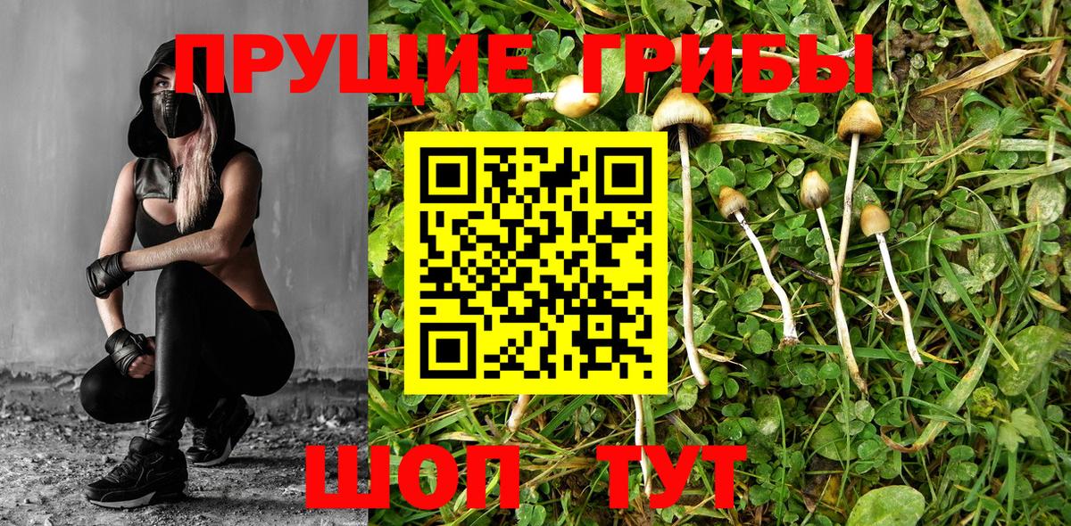 Псилоцибиновые грибы прущие грибы  Галлюциногенные грибы GOLDEN TEACHER  Вязники 