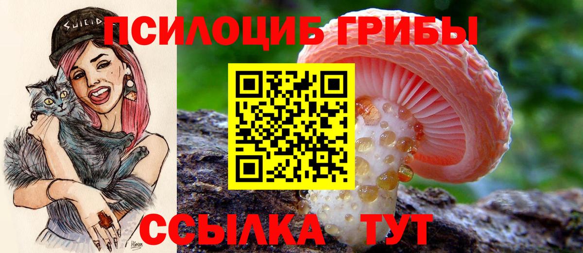 Псилоцибиновые грибы ЛСД Вязники