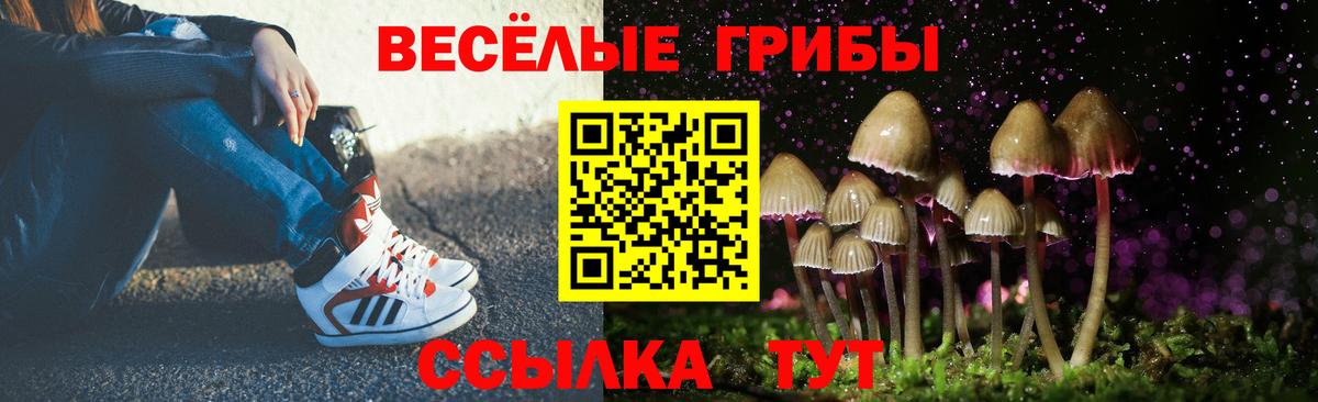 где купить наркоту  Вход с VPN  Вязники  Галлюциногенные грибы прущие грибы 