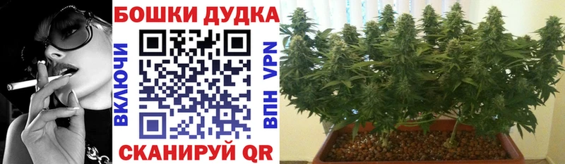купить наркотики цена  Вязники  Шишки марихуана конопля 