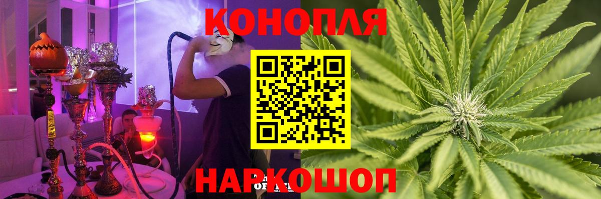 Бошки марихуана планчик  Бошки марихуана White Widow  Шишки марихуана Ganja  Вязники  Вход с VPN 